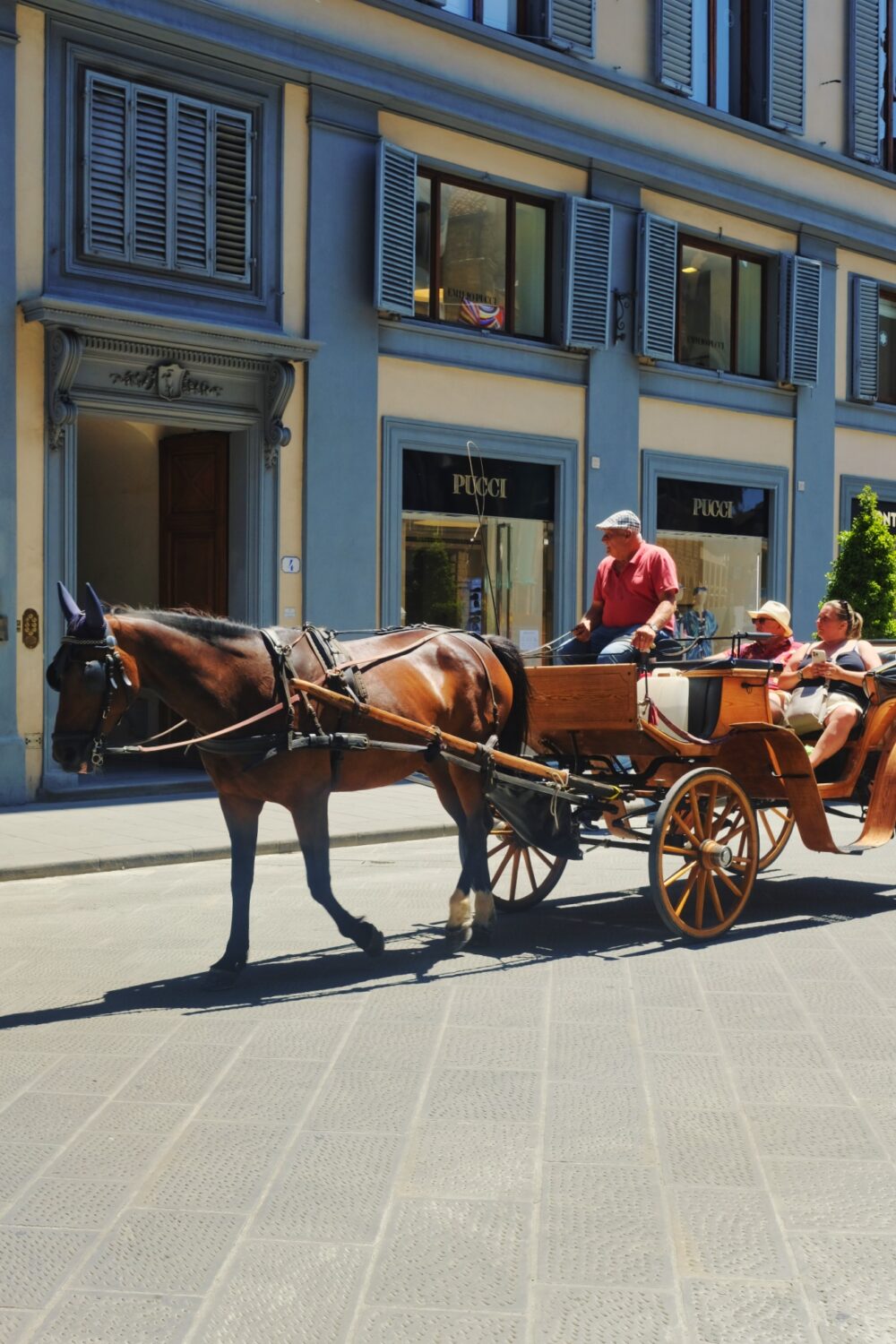Florence horse and cart